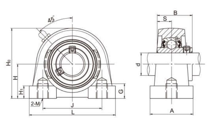 Gối cơ sở có lỗ chịu lực UCPA206