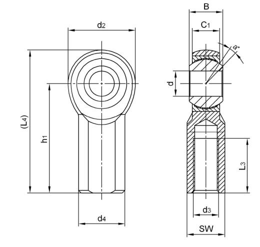 Thanh thép không gỉ kết thúc SJF12T