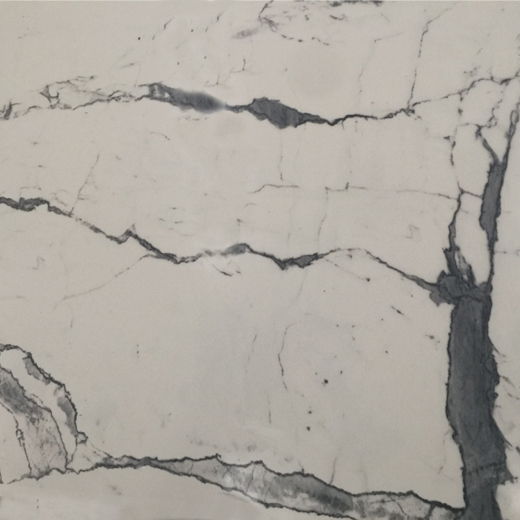 Thiết kế bức tranh 3D Bạch Tuyết Tấm đá cẩm thạch được thiết kế sẵn Calacatta cho tường
