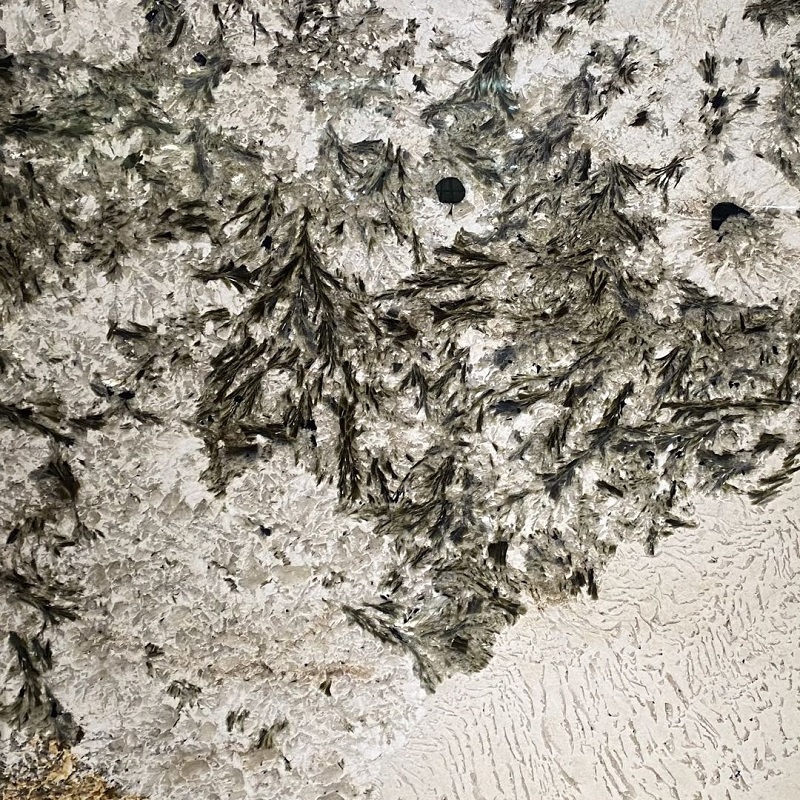 Brazil Alpinus màu trắng sang trọng Quartzite
